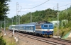 DSC_4990.jpg