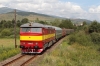 T-478-1131.jpg