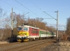 IMG_3242-202-0.jpg